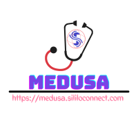 MEDUSA E-LEARNING PLATFORM